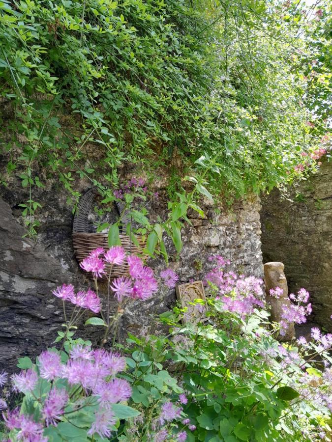 The Artist'S Retreat Lejlighed Calstock Eksteriør billede